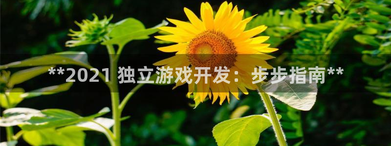 沐鸣注册开户：**2021 独立游戏开发
