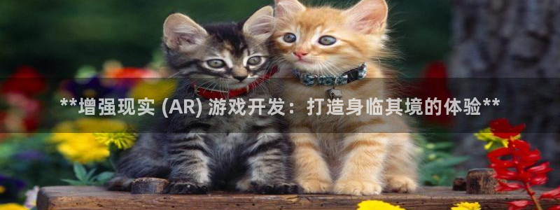 沐鸣平台官方网站：**增强现实 (AR)
