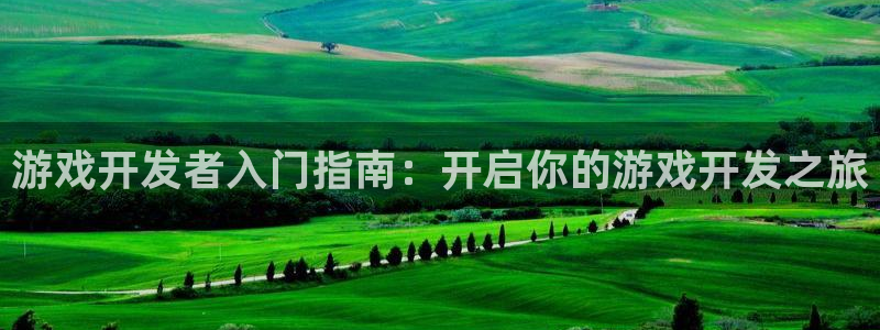 沐鸣3平台登录：游戏开发者入门指南：开启