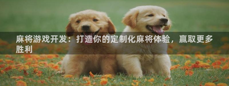 沐鸣平台注册：麻将游戏开发：打造你的定制