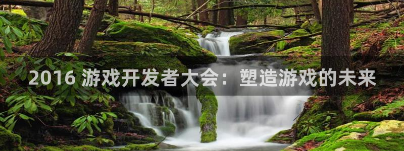 沐鸣平台~53866：2016 游戏开发