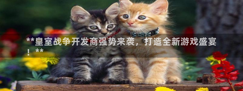 沐鸣代理注册：**皇室战争开发商强势来袭