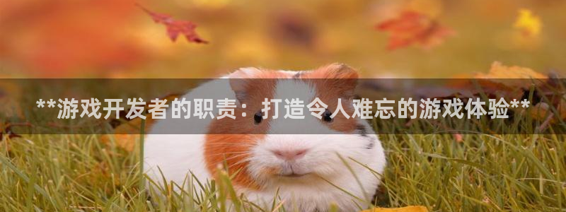 沐鸣科技有限公司招聘：**游戏开发者的职