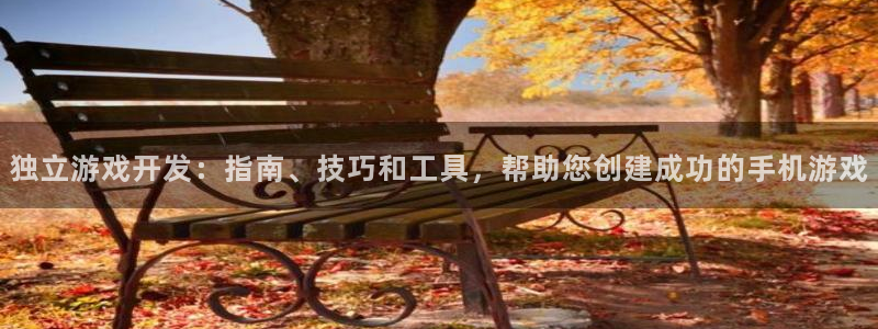 沐鸣平台登陆线路：独立游戏开发：指南、技