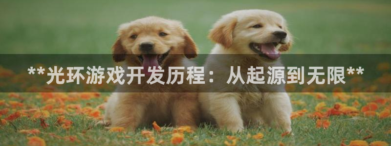 沐鸣平台是黑平台吗知乎：**光环游戏开发