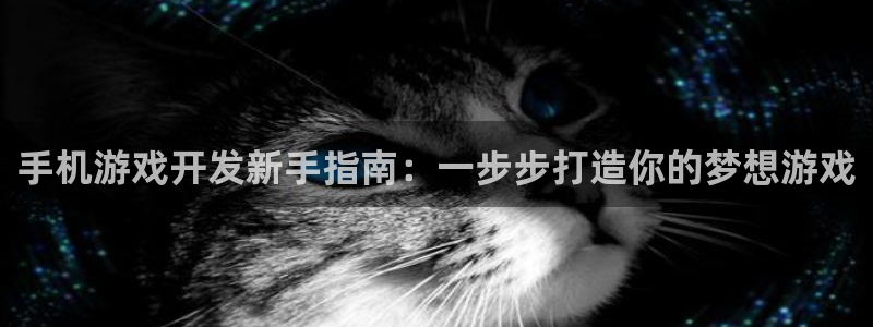 沐鸣娱乐注册平台有哪些：手机游戏开发新手