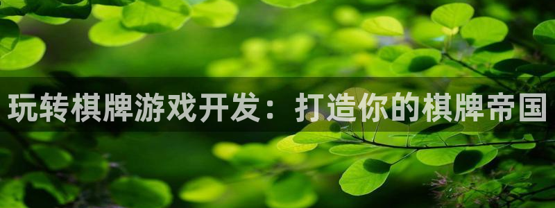 沐鸣平台登陆：玩转棋牌游戏开发：打造你的