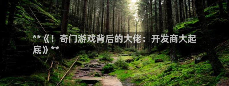 沐鸣代理注册：**《！奇门游戏背后的大佬