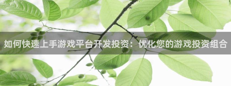 沐鸣网址：如何快速上手游戏平台开发投资：
