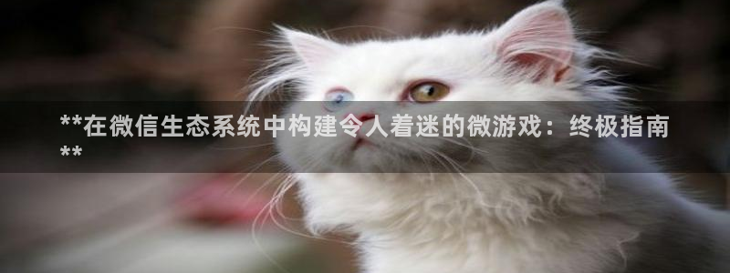 沐鸣登录地址：**在微信生态系统中构建令