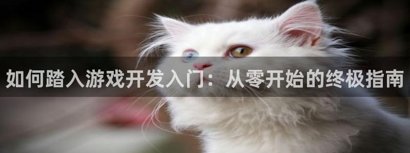 沐鸣代理登陆：如何踏入游戏开发入门：从零
