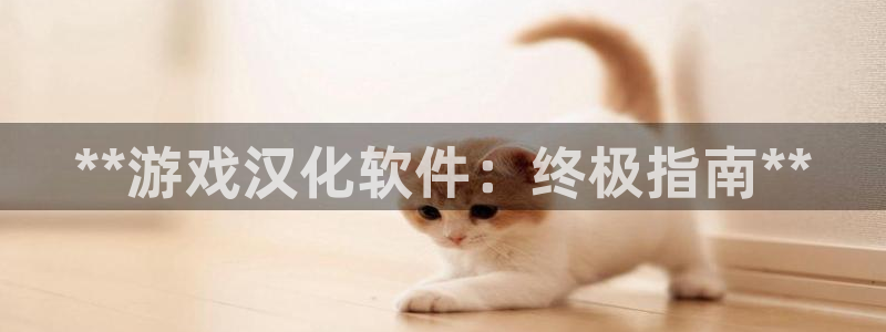 沐鸣开户计划：**游戏汉化软件：终极指南