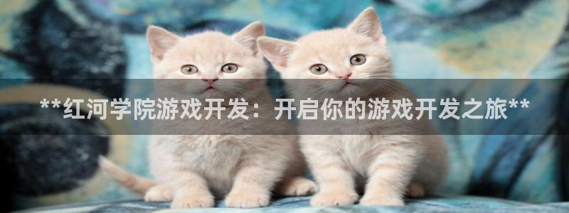 沐鸣平台是黑平台吗：**红河学院游戏开发