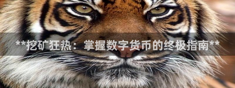 沐鸣娱乐注册平台有哪些：**挖矿狂热：掌