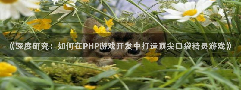 沐鸣平台总代理电话号码：《深度研究：如何