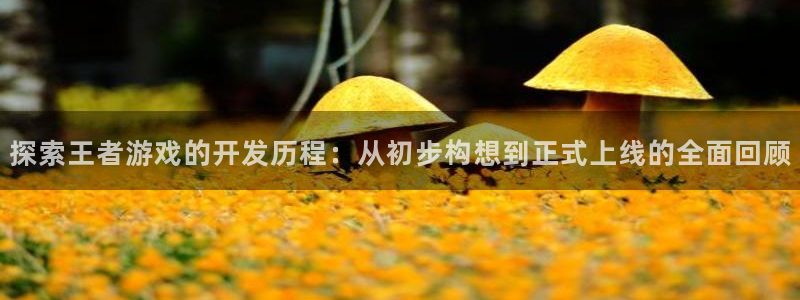 沐鸣1平台注册：探索王者游戏的开发历程：