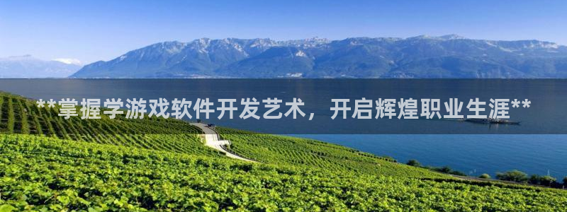 沐鸣娱乐平台反点：**掌握学游戏软件开发