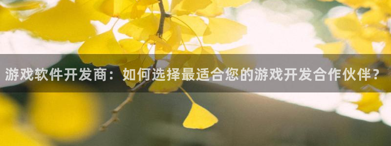 沐鸣平台官网：游戏软件开发商：如何选择最