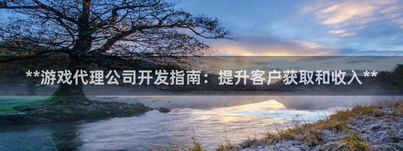 沐鸣科技游戏：**游戏代理公司开发指南：