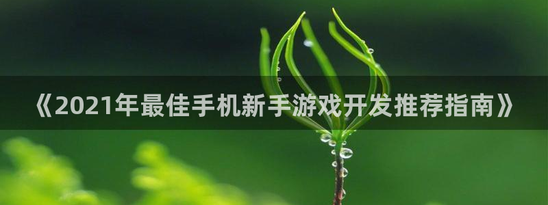 沐鸣娱乐以884340妥：《2021年最