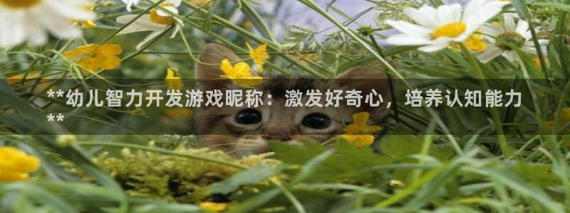 沐鸣官网注册：**幼儿智力开发游戏昵称：