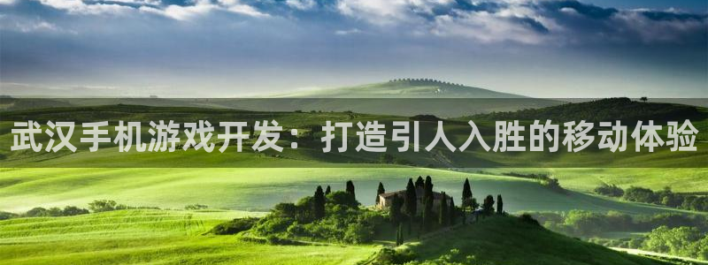 沐鸣娱乐怎么注册：武汉手机游戏开发：打造