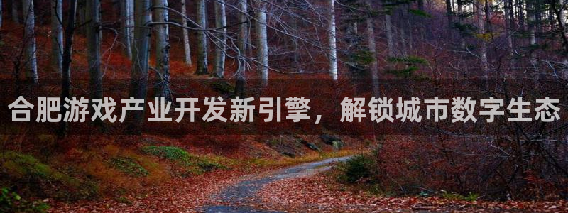 沐鸣娱乐是什么：合肥游戏产业开发新引擎，