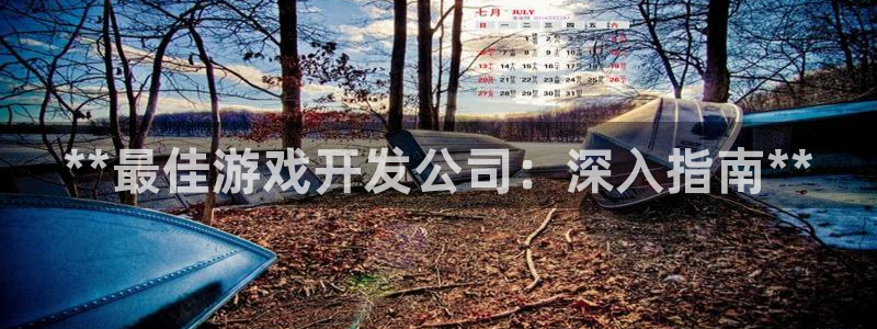 沐鸣娱乐招商：**最佳游戏开发公司：深入