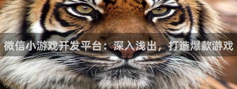 沐鸣科技有限公司官网：微信小游戏开发平台