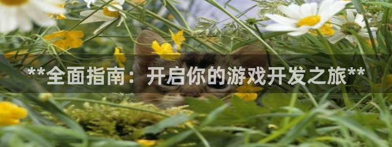 沐鸣注册账号：**全面指南：开启你的游戏