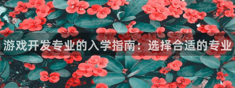 沐鸣娱乐官方网站下载：游戏开发专业的入学