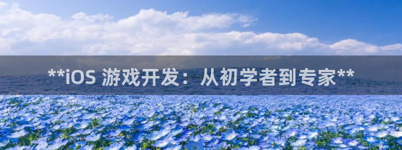 沐鸣注册登录：**iOS 游戏开发：从初
