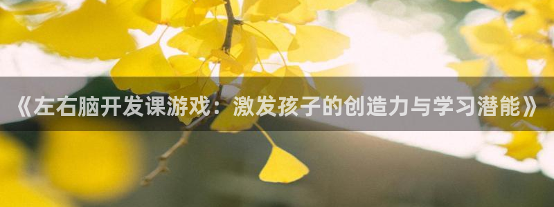 沐鸣平台登陆线路：《左右脑开发课游戏：激
