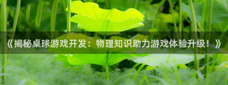 沐鸣注册账号：《揭秘桌球游戏开发：物理知