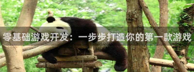 沐鸣开户计划：零基础游戏开发：一步步打造