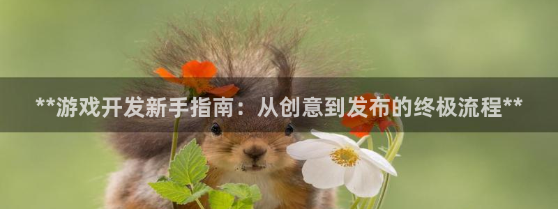 沐鸣平台是黑平台吗知乎：**游戏开发新手