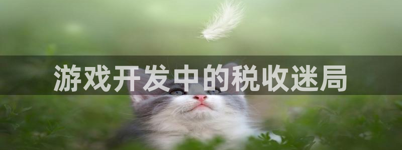 沐鸣娱乐平台登录：游戏开发中的税收迷局