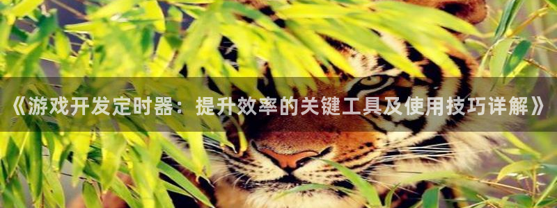 沐鸣平台代理注册多少钱一次：《游戏开发定