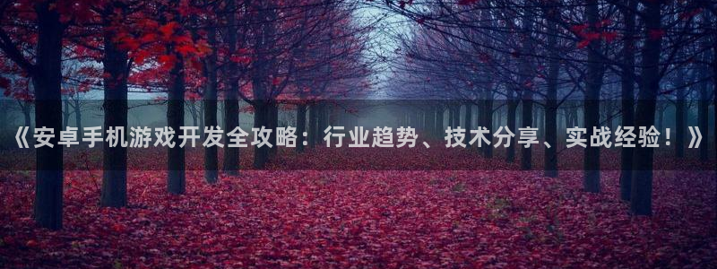 沐鸣娱乐平台登录不上：《安卓手机游戏开发