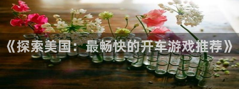 沐鸣在线登录官网：《探索美国：最畅快的开