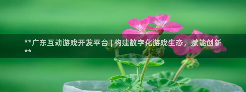 沐鸣娱乐是国外的吗：**广东互动游戏开发