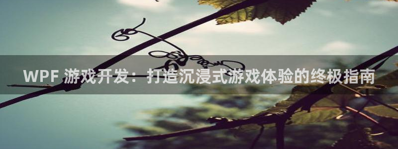 沐鸣平台登陆：WPF 游戏开发：打造沉浸