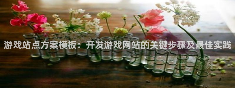 沐鸣1登陆：游戏站点方案模板：开发游戏网