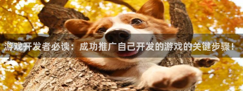 沐鸣科技怎么样：游戏开发者必读：成功推广