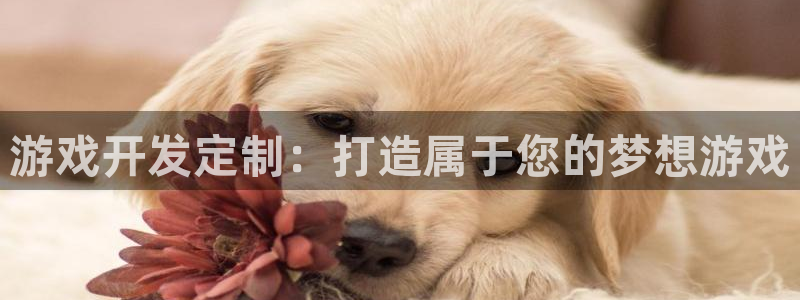 沐鸣娱乐注册登录平台是什么：游戏开发定制