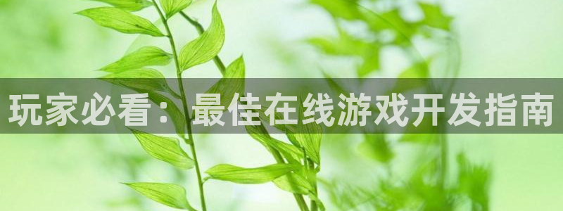 沐鸣平台总代理：玩家必看：最佳在线游戏开