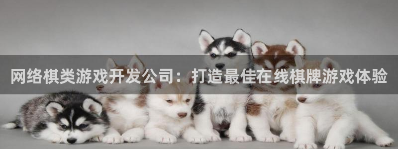 沐鸣官方注册登录：网络棋类游戏开发公司：