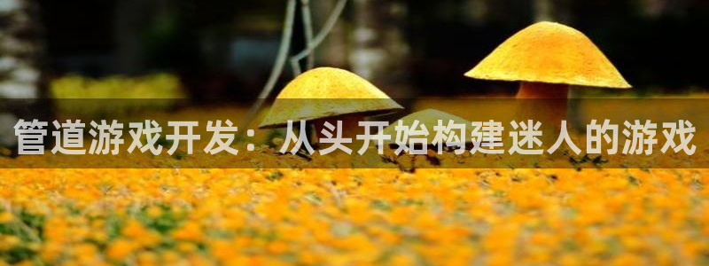 沐鸣平台是黑平台吗知乎：管道游戏开发：从