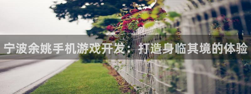 沐鸣平台官方网站：宁波余姚手机游戏开发：