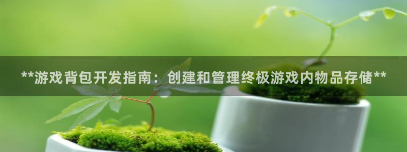 沐鸣平台招商：**游戏背包开发指南：创建